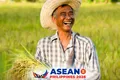 DSWD, NCSC present proposed ASEAN Framework on Unlocking Silver Economy