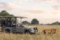 Shearzone Safaris Expands its Portfolio in Zambia and Rebrands