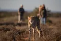 Four Bucket-list Wilderness Adventures at Samara Karoo Reserve